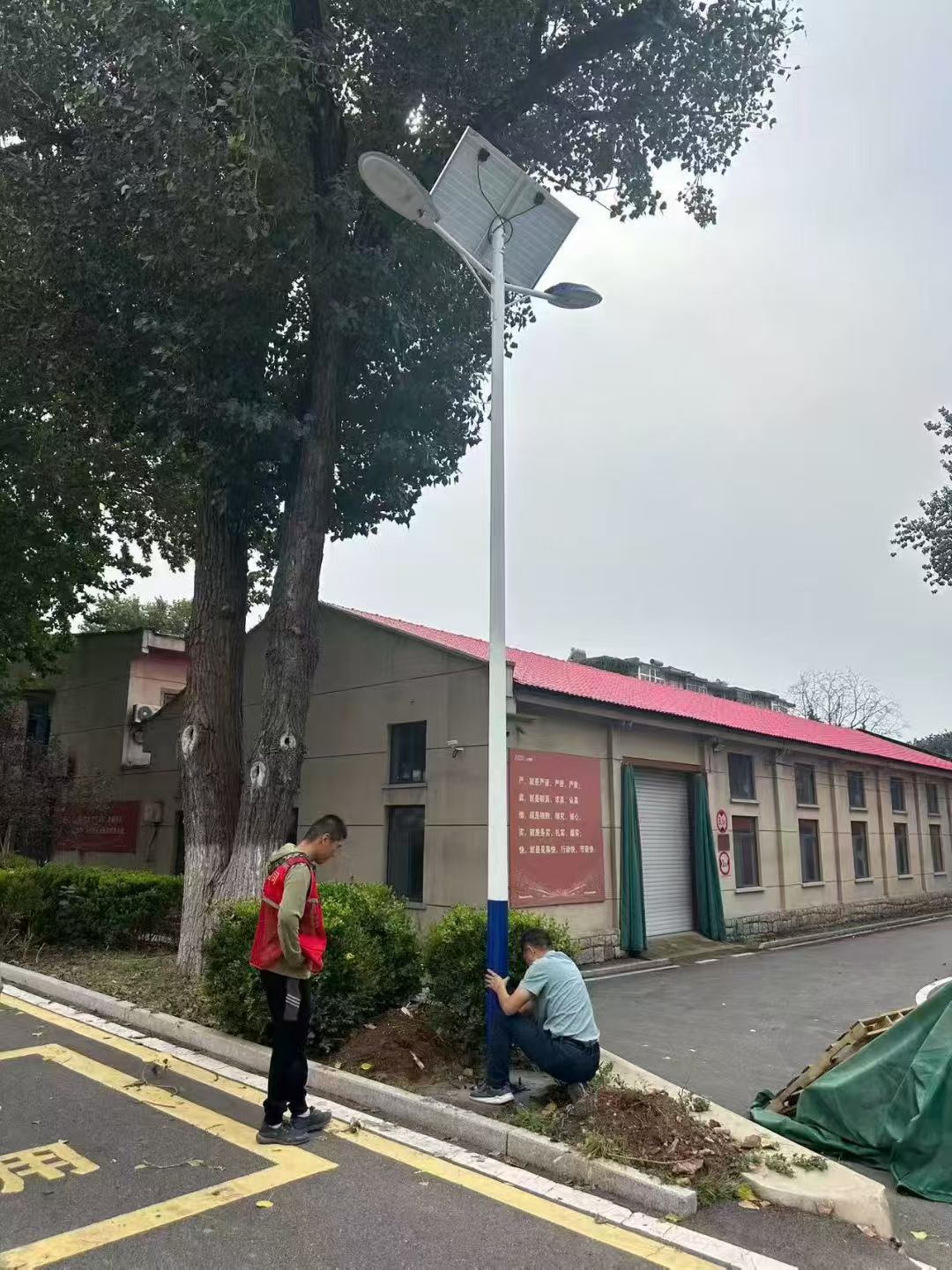 惜光静雅照明案例图片